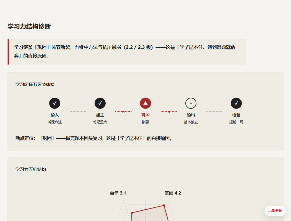 学习力结构诊断示例